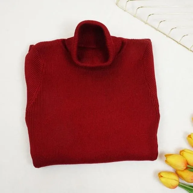 2021 New Autumn Winter Fashion Women Party Dress Knit Style Long Sleeve Turtleneck Sweater Dress Slim Work Wear Office Dress