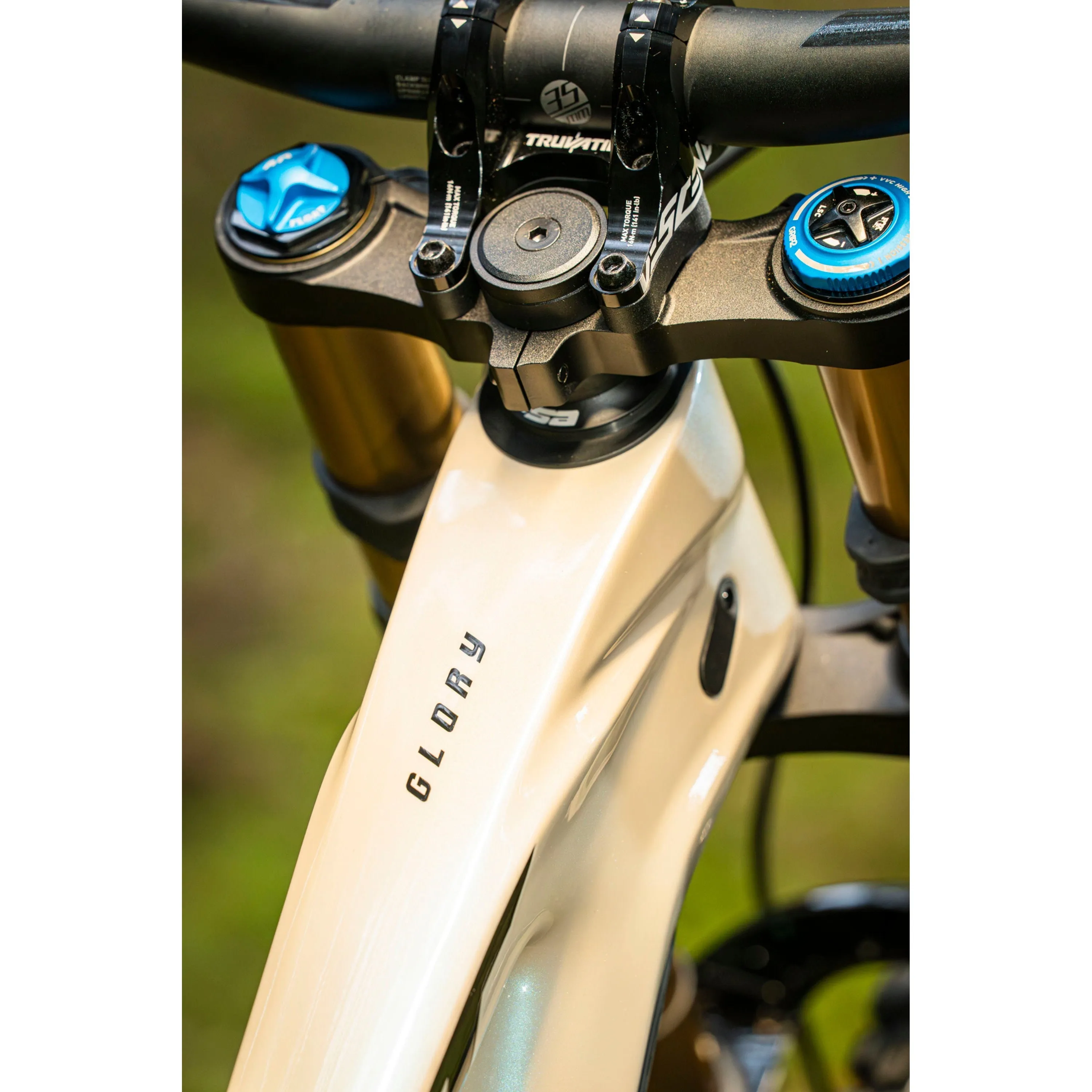 Giant 2024 Glory Advanced Pro Mountain Bike