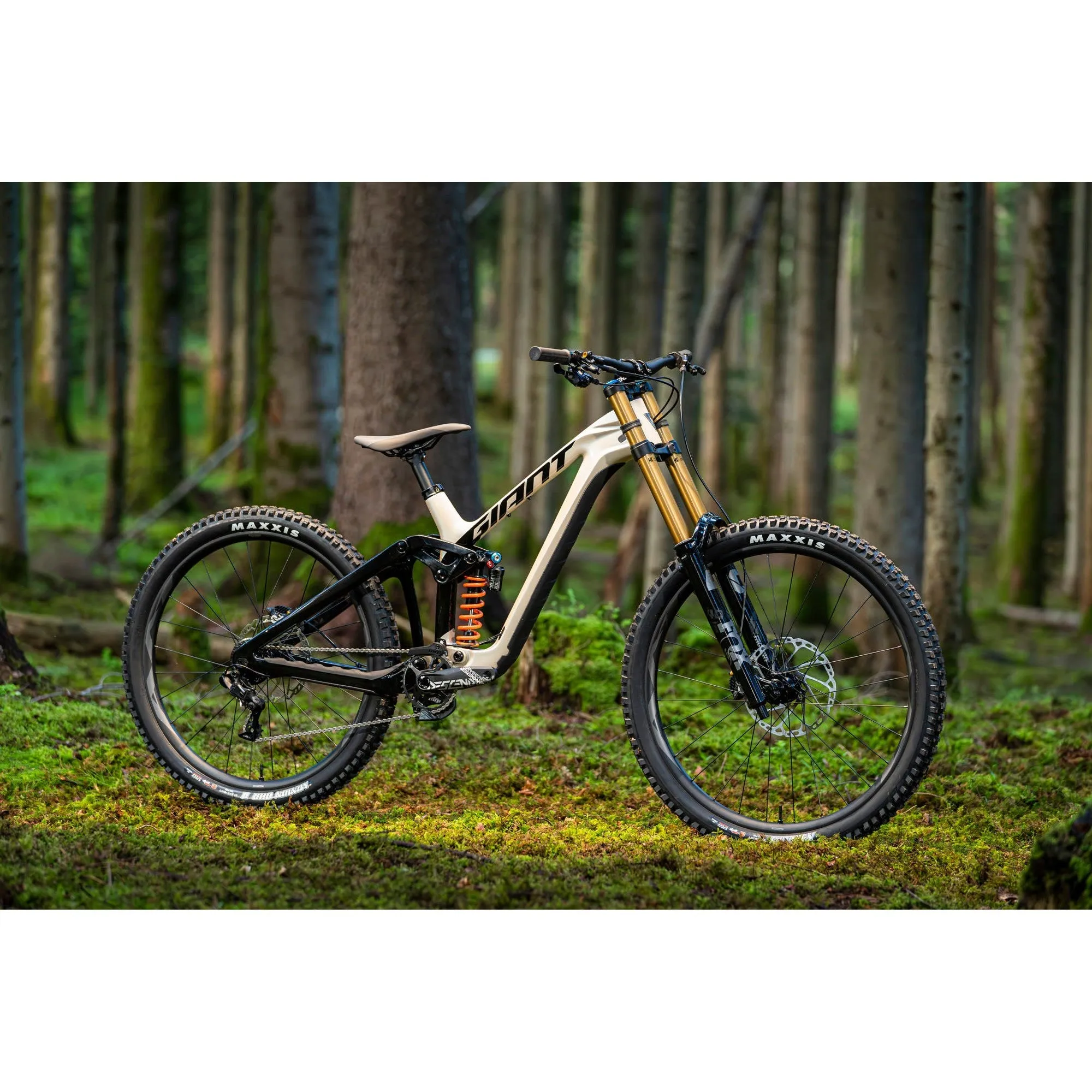 Giant 2024 Glory Advanced Pro Mountain Bike