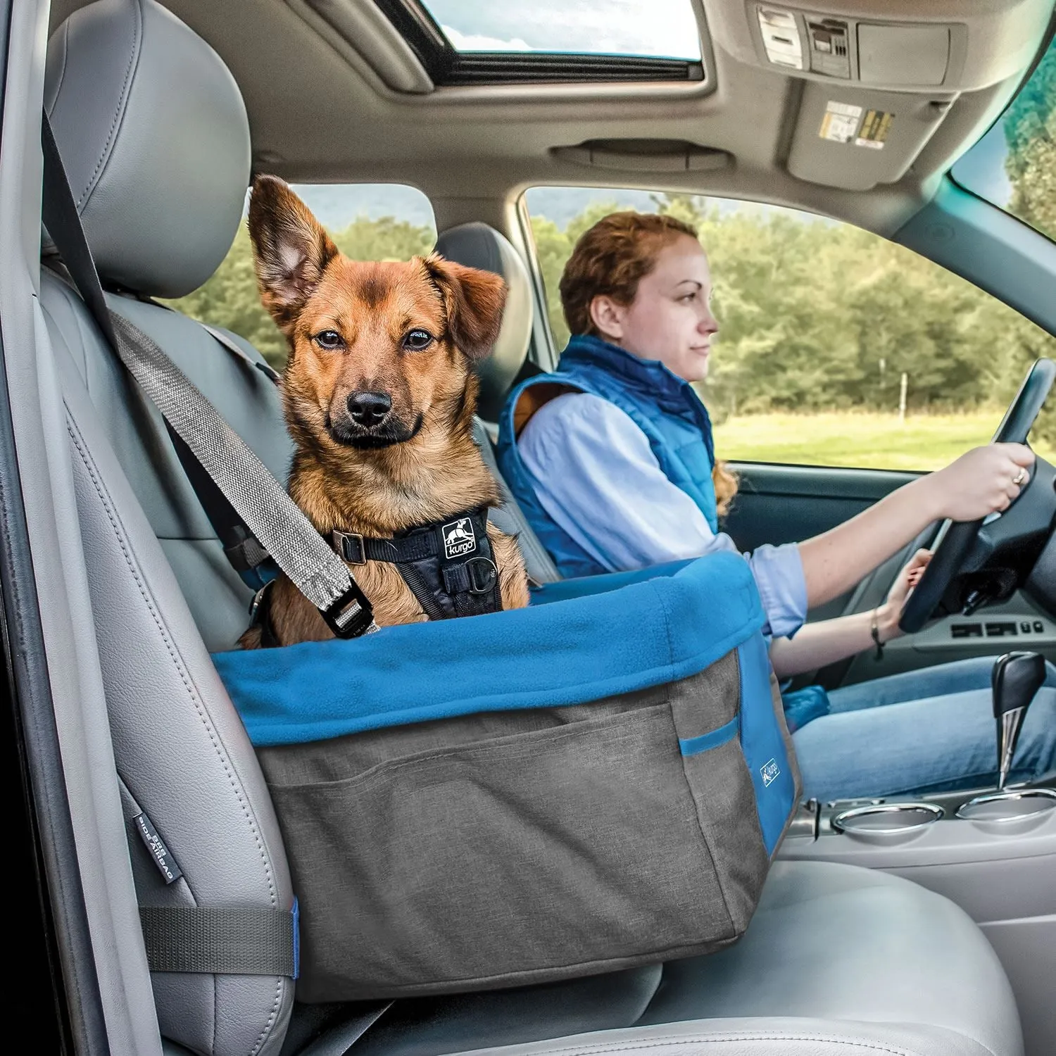 Kurgo Heather Booster Seat