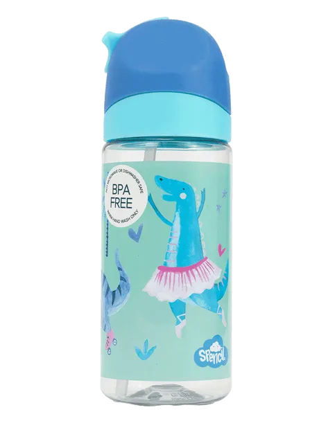 Little Water Bottle - Roar-some