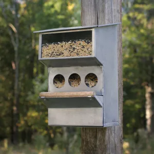 Metal Bird Feeder