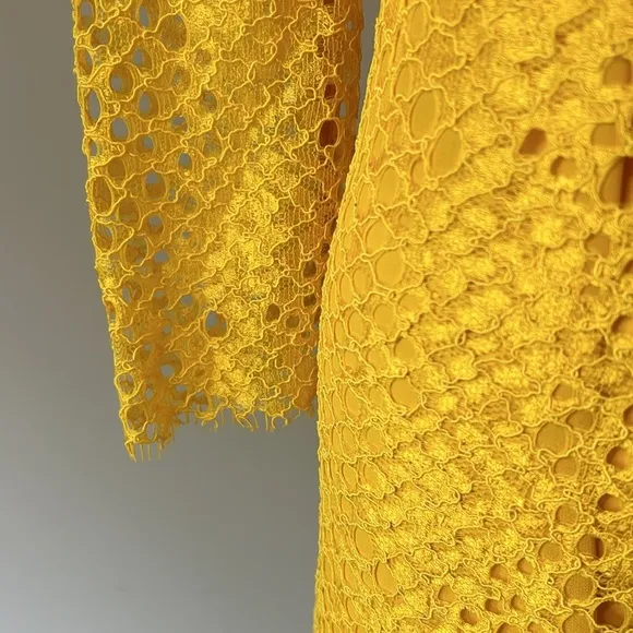 Pinko Dress Floral Lace Sheath Dress Yellow Brunch Career Party Italy Sz 2