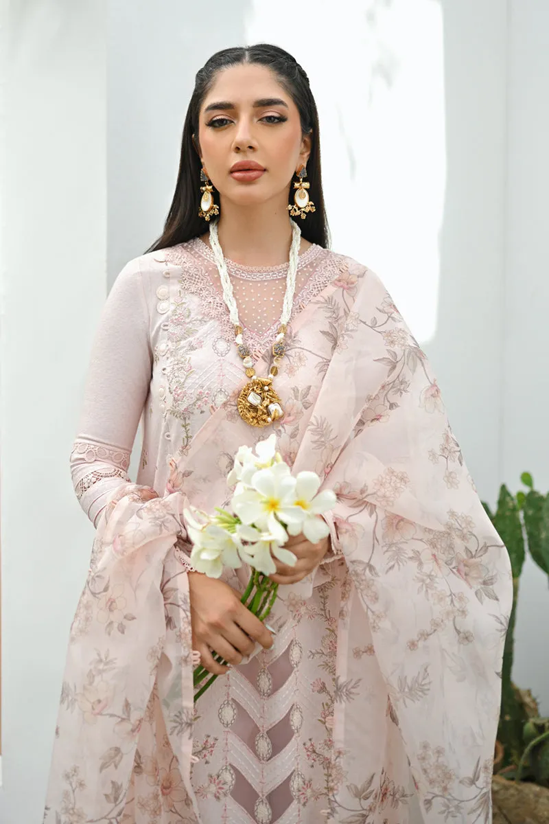 Qalamkar | CASUAL PRET II - 🌿 | ZP-03 CILIA