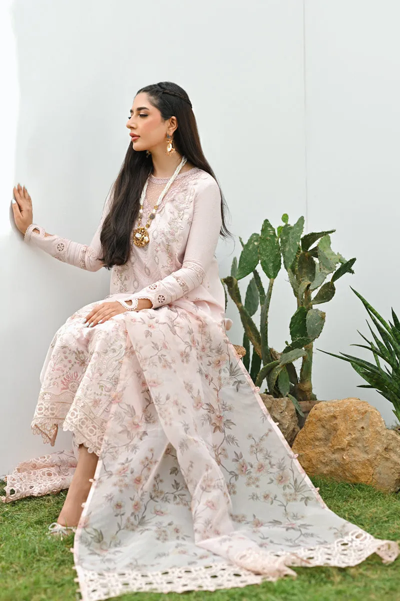 Qalamkar | CASUAL PRET II - 🌿 | ZP-03 CILIA