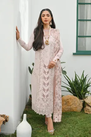 Qalamkar | CASUAL PRET II - 🌿 | ZP-03 CILIA