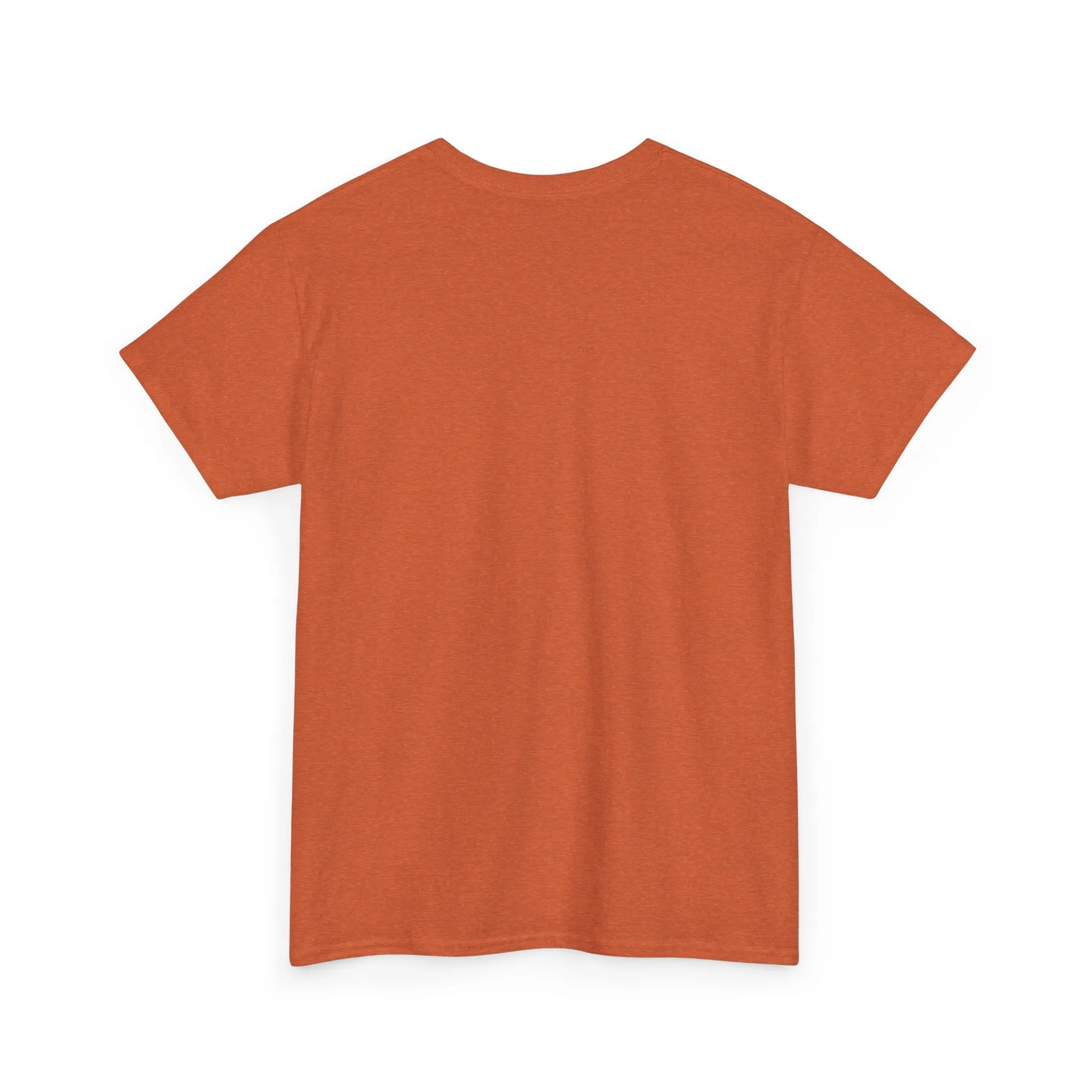 "I Work Harder Than Congress" Unisex Heavy Cotton Tee