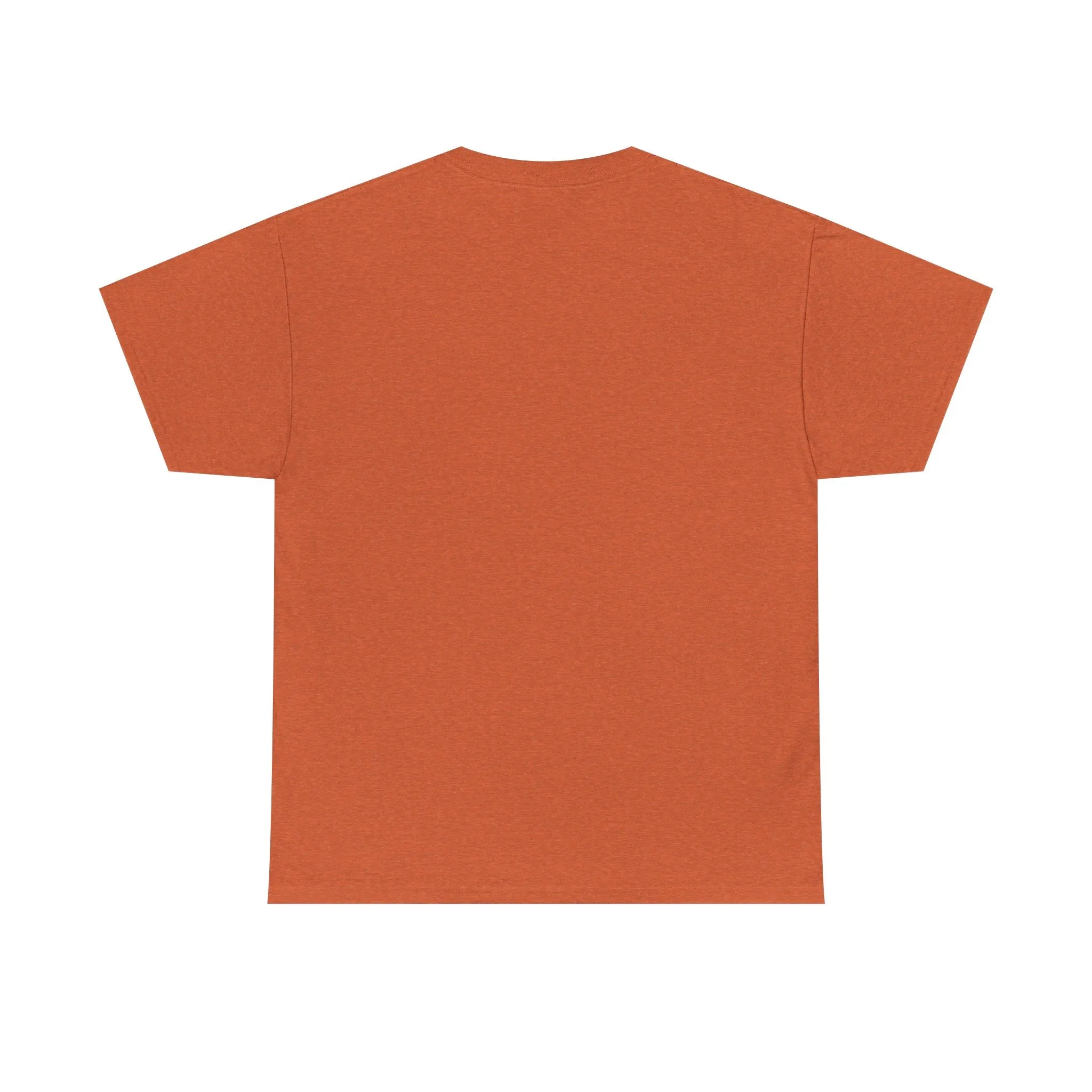 "I Work Harder Than Congress" Unisex Heavy Cotton Tee